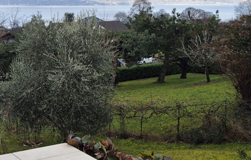 Grande villa de prestige - vue panoramique sur le lac Léman