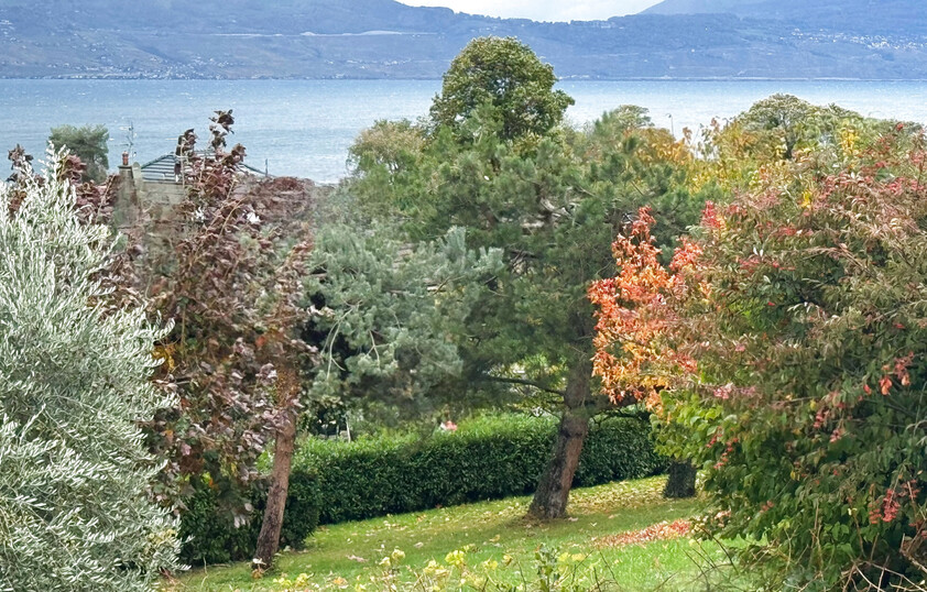 Grande villa de prestige - vue panoramique sur le lac Léman