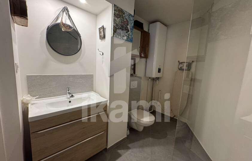 Grand studio centre ville