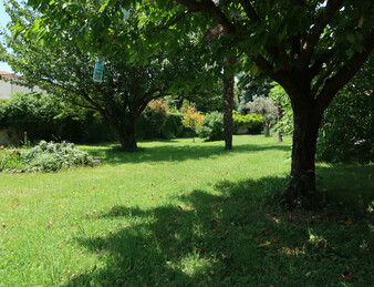 Miniature de l'image 3