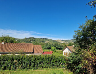 Miniature de l'image 3