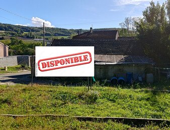 Miniature de l'image 3