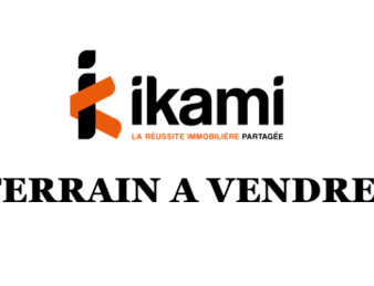 Miniature de l'image 2