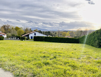 TERRAIN 1490 M2 - ARBONNE
