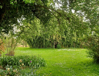 Miniature de l'image 3