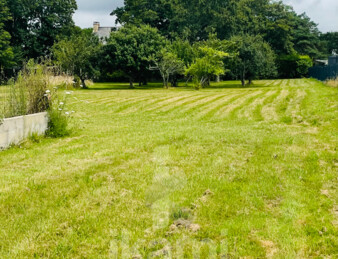 Magnifique terrain constructible de 755 m2 proche mer.