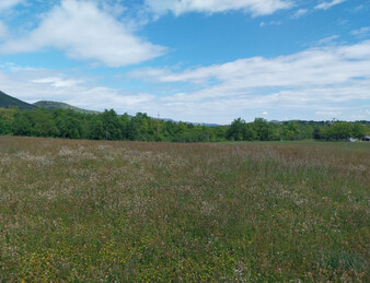 TERRAIN A BATIR 1124  M2 VIABILISE  SAINT GEORGES LES BAINS 07800