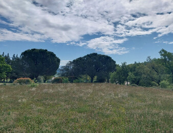 TERRAIN A BATIR 1124  M2 VIABILISE  SAINT GEORGES LES BAINS 07800