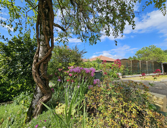 Maison Saint Verand 1000m2 de terrain