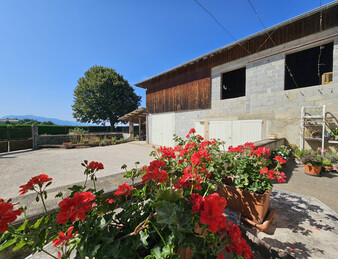 Maison 3 chambres et bureau