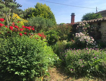 PORTES DE LA DROME PROVENCALE, LORIOL. FERME SUR PARC DE  3 582 M2 ET 284 M2 HAB. NB DEPENDANCES.