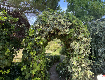 PORTES DE LA DROME PROVENCALE, LORIOL. FERME SUR PARC DE  3 582 M2 ET 284 M2 HAB. NB DEPENDANCES.