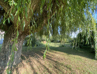 PORTES DE LA DROME PROVENCALE, LORIOL. FERME SUR PARC DE  3 582 M2 ET 284 M2 HAB. NB DEPENDANCES.