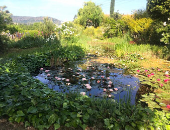 PORTES DE LA DROME PROVENCALE, LORIOL. FERME SUR PARC DE  3 582 M2 ET 284 M2 HAB. NB DEPENDANCES.