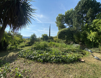 Miniature de l'image 3