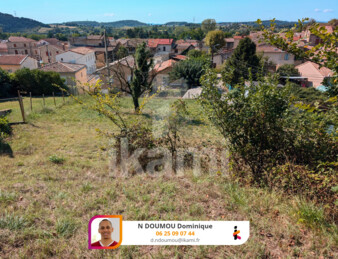 Miniature de l'image 3