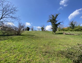 Terrain à bâtir - Moirans