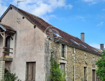 Miniature de l'image 3