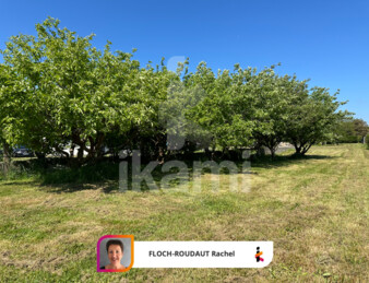 Magnifique terrain constructible de 800 m2 proche mer