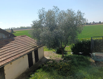Belle maison de 257M2 sans vis à vis avec dépendances et terrain proche