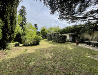 Miniature de l'image 3