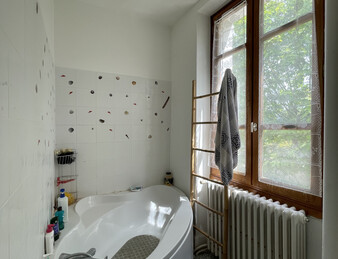 Maison de charme avec parc arboré à Peyrins