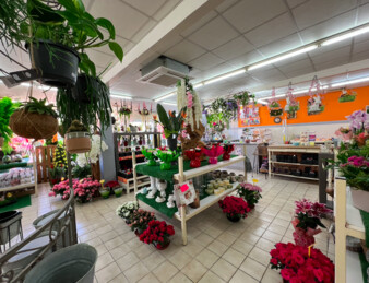 Fonds de commerce Fleuriste Vierzon centre-ville