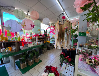 Fonds de commerce Fleuriste Vierzon centre-ville