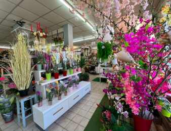 Fonds de commerce Fleuriste Vierzon centre-ville