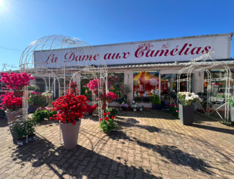 Fonds de commerce Fleuriste Vierzon centre-ville