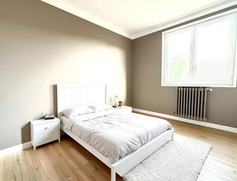 Maison avec dépendances à Châteauneuf de Galaure