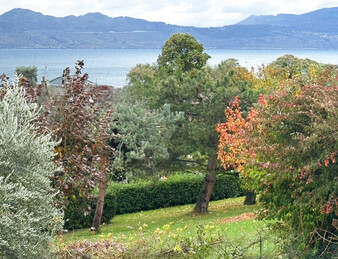 Grande villa de prestige - vue panoramique sur le lac Léman