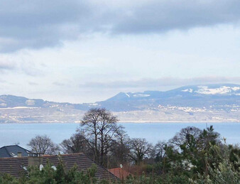 Grande villa de prestige - vue panoramique sur le lac Léman