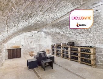 Exclusivité   Propriété de caractère 430 m2 : emplacement stratégique & visibilité axe Grenoble Lyon