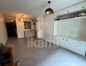 Grand studio centre ville