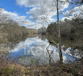 Magnifique Propriété en Sologne avec Maison de Maître et Plus de 96 Hectares