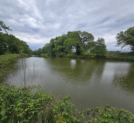 Magnifique Propriété en Sologne avec Maison de Maître et Plus de 96 Hectares