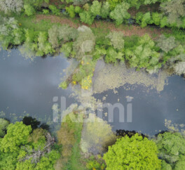 Magnifique Propriété en Sologne avec Maison de Maître et Plus de 96 Hectares