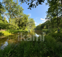 Magnifique Propriété en Sologne avec Maison de Maître et Plus de 96 Hectares