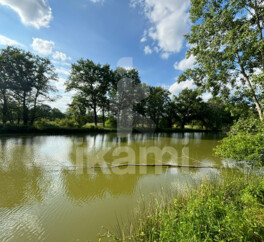Magnifique Propriété en Sologne avec Maison de Maître et Plus de 96 Hectares