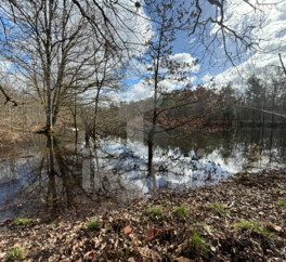 Magnifique Propriété en Sologne avec Maison de Maître et Plus de 96 Hectares