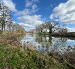 Magnifique Propriété en Sologne avec Maison de Maître et Plus de 96 Hectares