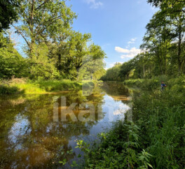 Magnifique Propriété en Sologne avec Maison de Maître et Plus de 96 Hectares