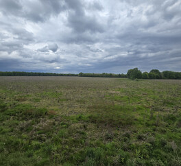 Magnifique Propriété en Sologne avec Maison de Maître et Plus de 96 Hectares