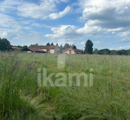 Magnifique Propriété en Sologne avec Maison de Maître et Plus de 96 Hectares