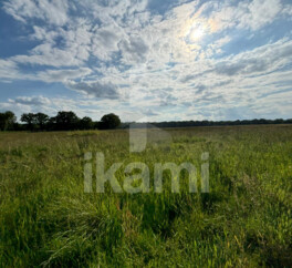 Magnifique Propriété en Sologne avec Maison de Maître et Plus de 96 Hectares