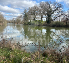 Magnifique Propriété en Sologne avec Maison de Maître et Plus de 96 Hectares