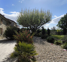 EN PROVENCE VISAN. 15 HECT VIGNES. TRUFFIERS. OLIVIERS. MAS 267 m2  MODULABLE. DEPENDANCES.PUITS.