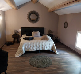 EN PROVENCE VISAN. 15 HECT VIGNES. TRUFFIERS. OLIVIERS. MAS 267 m2  MODULABLE. DEPENDANCES.PUITS.