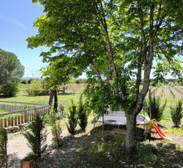 EN PROVENCE VISAN. 15 HECT VIGNES. TRUFFIERS. OLIVIERS. MAS 267 m2  MODULABLE. DEPENDANCES.PUITS.